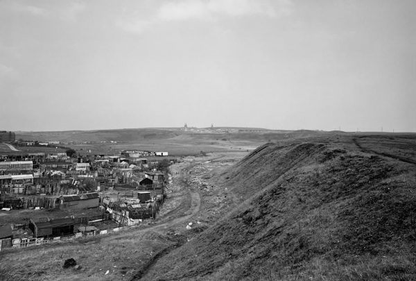 Durham Coalfield - Amber Collection